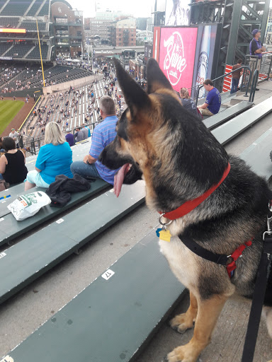 Stadium «Coors Field», reviews and photos, 2001 Blake St, Denver, CO 80205, USA