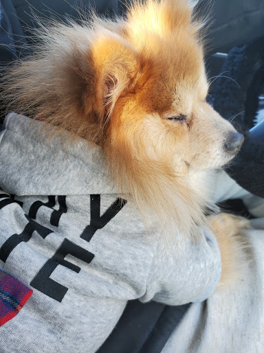 Pet Supply Store «Petco Animal Supplies», reviews and photos, 5925 US-6, Portage, IN 46368, USA