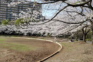 Yamazaki Park image