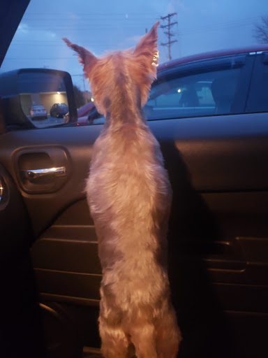 Pet Supply Store «Petco Animal Supplies», reviews and photos, 4491 Kirkwood Hwy, Wilmington, DE 19808, USA