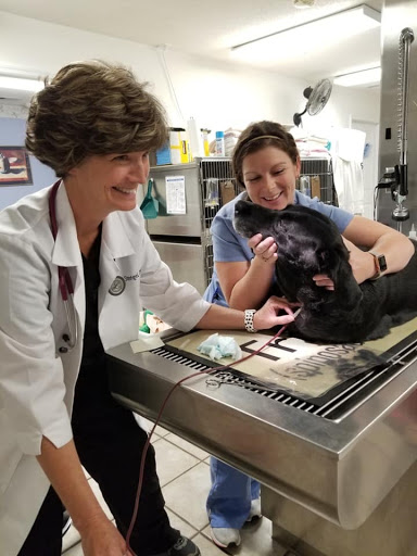 Kind Care Animal Hospital image