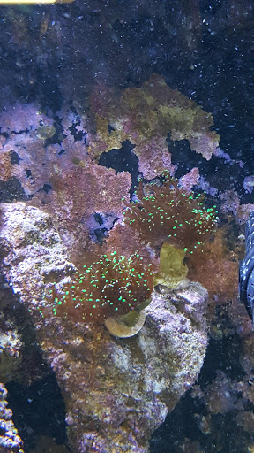 Pet Store «Pet Haven Pet Shop», reviews and photos, 19 US-6, Valparaiso, IN 46385, USA