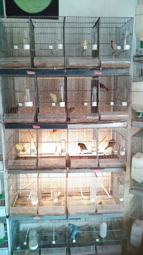 Tomasín (C. Lorca) - Aguilas