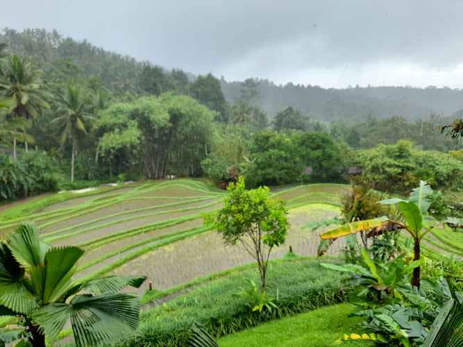 Pondok di Kabupaten Tabanan Bali: Mengungkap Tempat Wisata Menarik di Sekitar Sana!