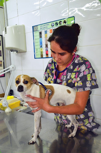 Centro Veterinario El Parque en Alcorcón
