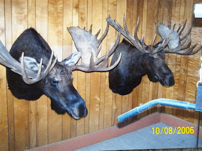 Keltner's Taxidermy