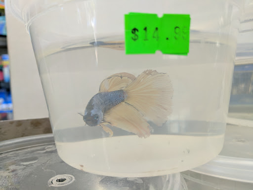 Pet Store «Eden Pets Supplies & Aquarium», reviews and photos, 3771 Bladensburg Rd, Brentwood, MD 20722, USA