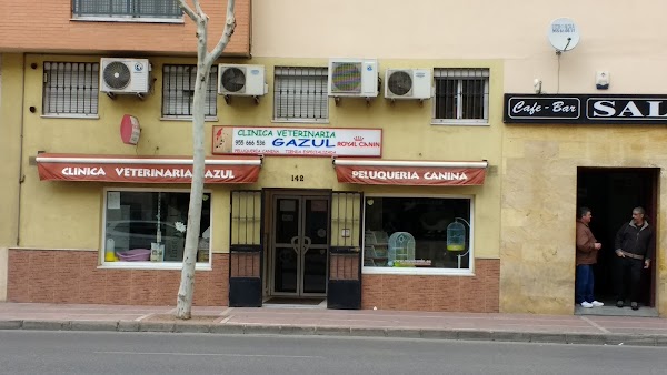 Gazul