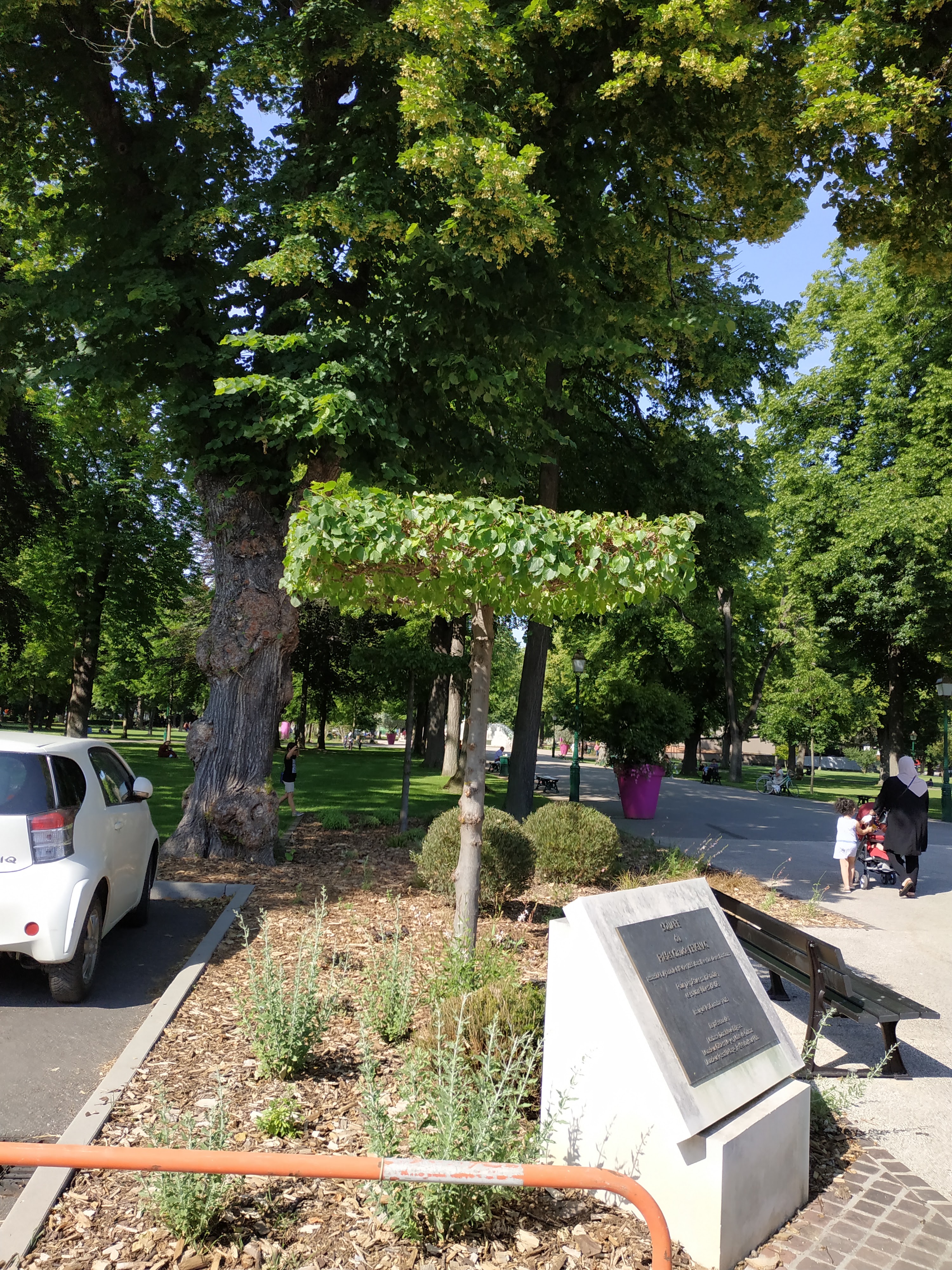 Photo n° 1 de l'avis de Marie.U fait le 16/06/2021 à 18:01