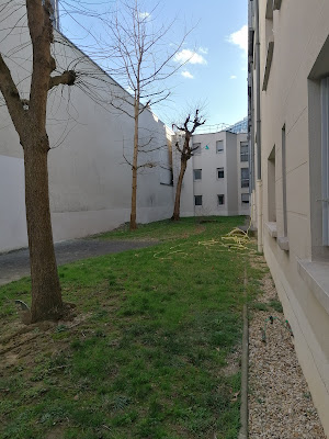 Lycée Sophie-Germain à Paris