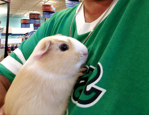 Pet Supply Store «PetSmart», reviews and photos, 3 McKenna Rd, Arden, NC 28704, USA