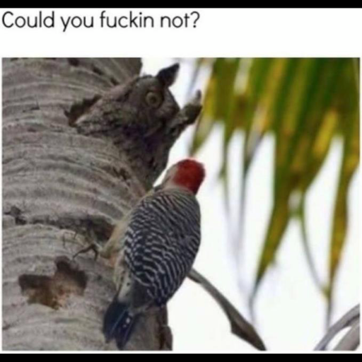 Auto Repair Shop «Bills On Broadway», reviews and photos, 4326 Broadway, Grove City, OH 43123, USA