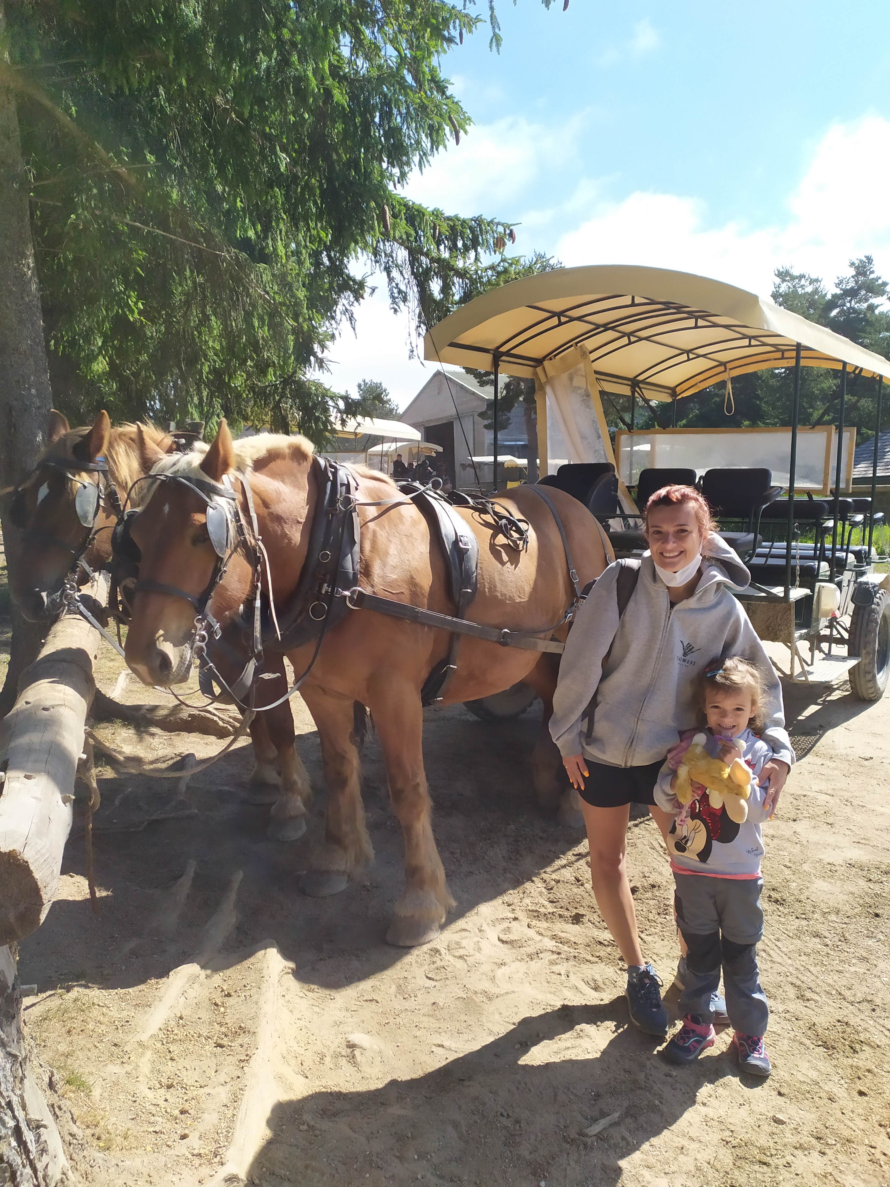 Photo n° 1 de l'avis de Laure.r fait le 27/08/2021 à 14:49