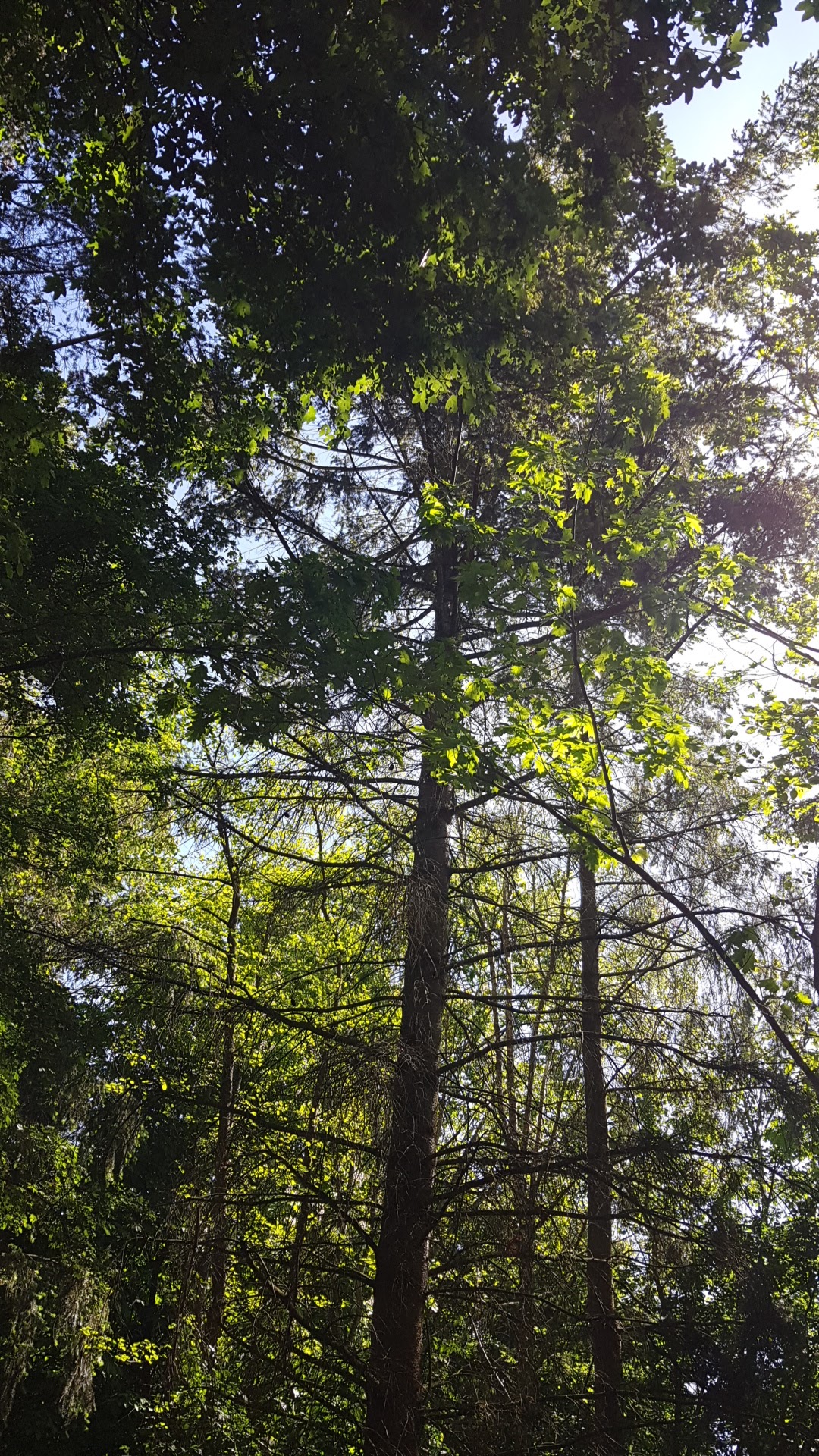 Photo n° 1 de l'avis de emmanuel.i fait le 15/05/2019 à 05:22