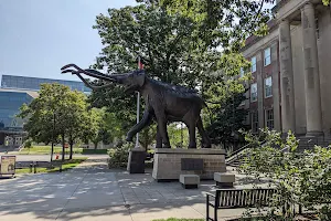 University of Nebraska State Museum - Morrill Hall image