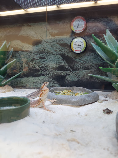 Pet Supply Store «Petco Animal Supplies», reviews and photos, 26209 104th Ave SE, Kent, WA 98030, USA