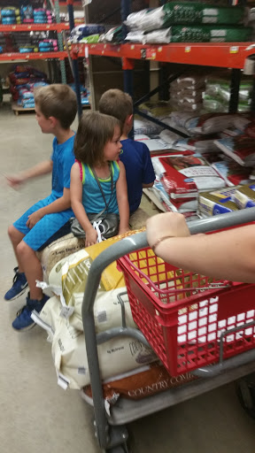 Home Goods Store «Rural King Supply», reviews and photos, 12531 Sportsman Rd, Highland, IL 62249, USA