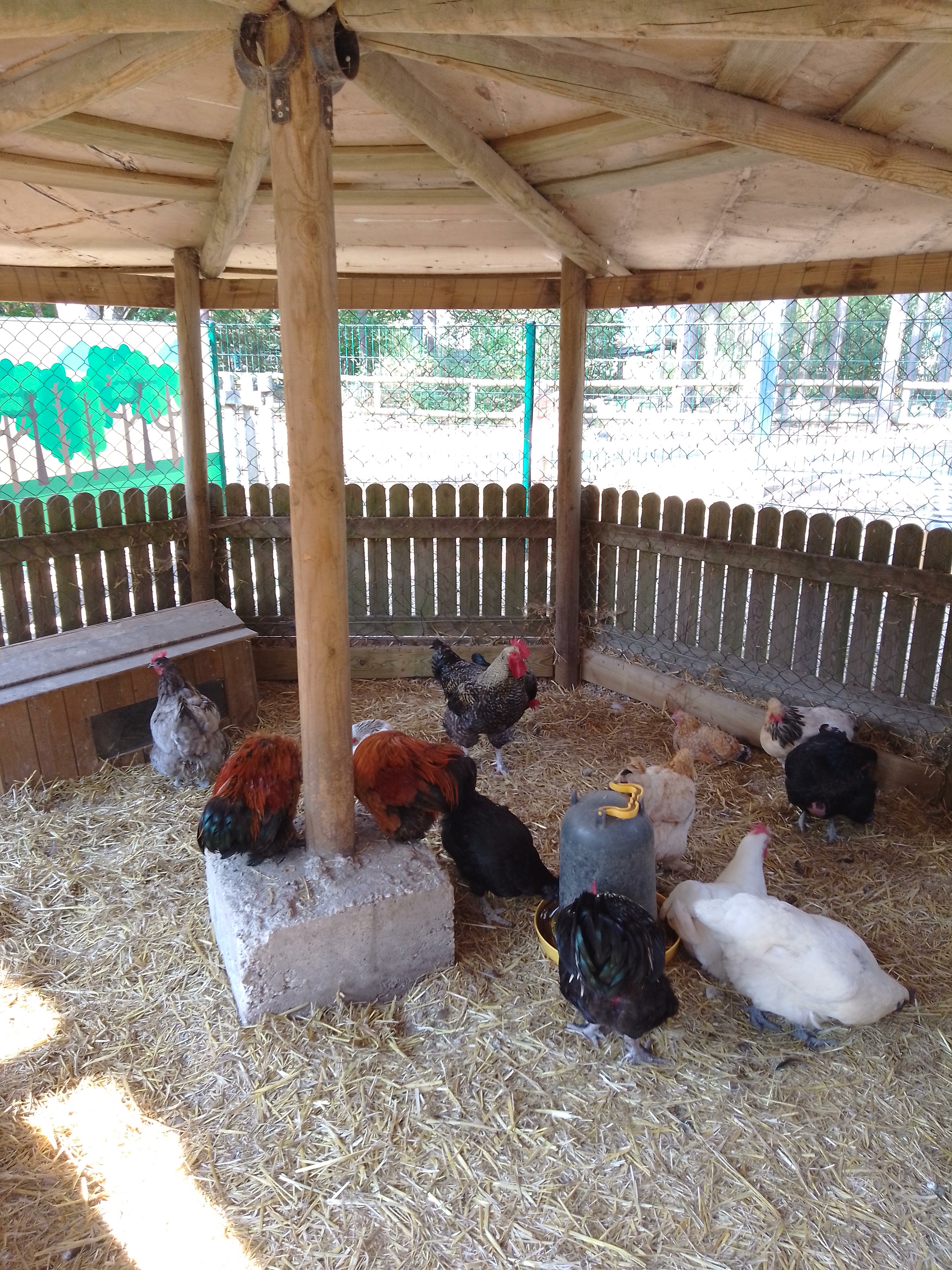 Photo n° 20 de l'avis de emmanuel.e fait le 04/09/2022 à 16:52