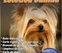 Blvd Jamed W. Stone.Plaza Rio Nuevo local 7 photo