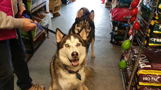 Pet Supply Store «Cheshire Cat & Dog Too», reviews and photos, 1320 Waterbury Rd, Cheshire, CT 06410, USA