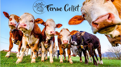 Laiterie Collet à Renaison