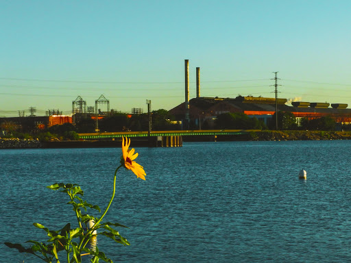 Casino «Majestic Star Casino & Hotel», reviews and photos, 1 Buffington Harbor Dr, Gary, IN 46406, USA