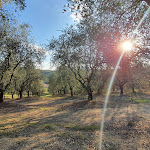 Photo n°2 de l'avis de Markus.u fait le 17/10/2021 à 18:42 sur le  Il Sambuco à Uopini