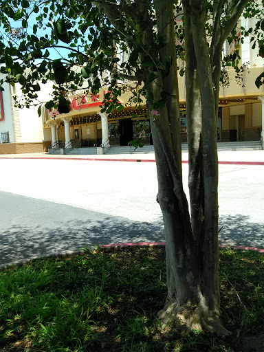 Movie Theater «Cinemark 16 and XD», reviews and photos, 401 S Expressway 83, Harlingen, TX 78550, USA