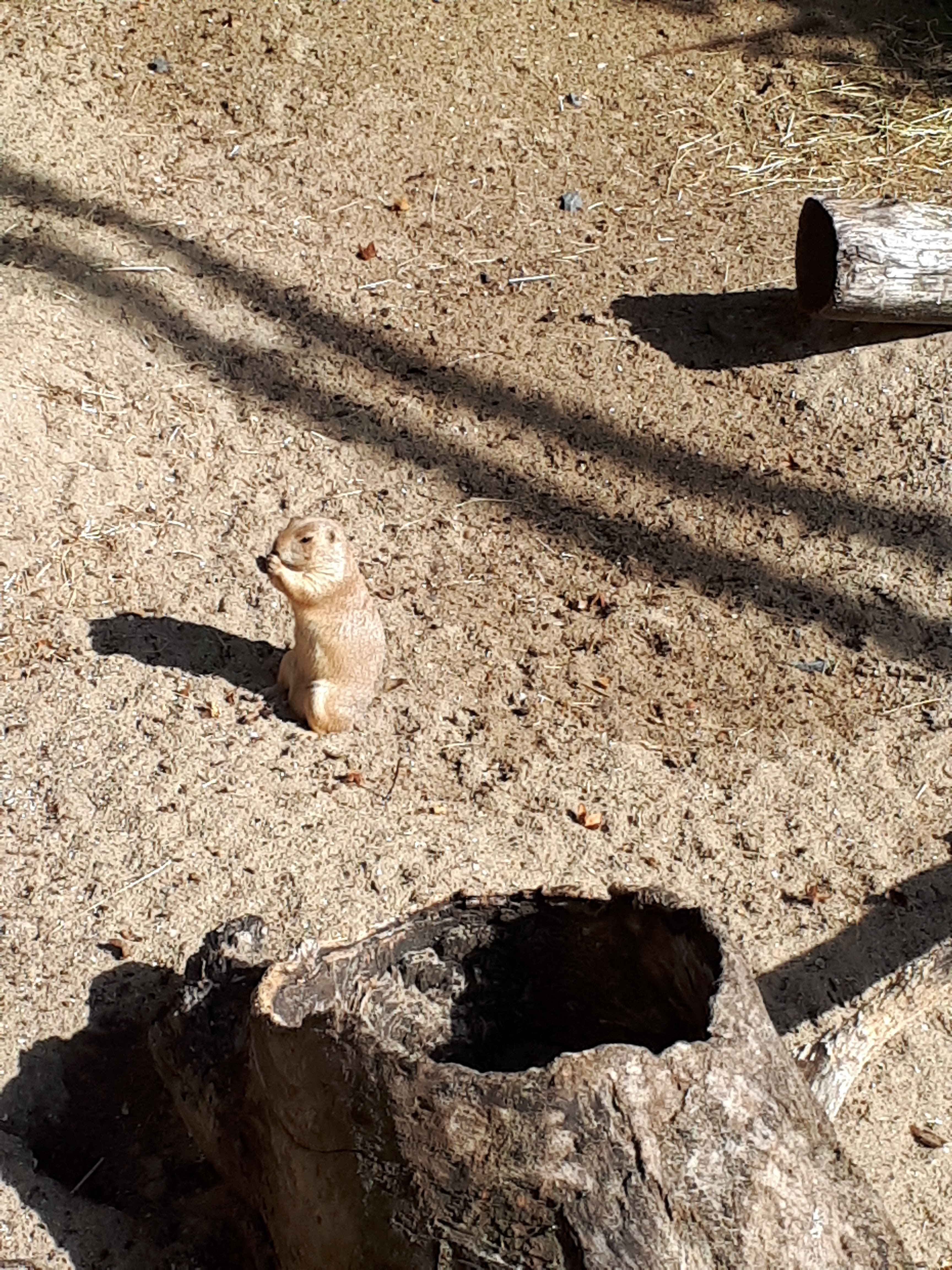 Photo n° 2 de l'avis de Blandine.e fait le 19/07/2023 à 07:39