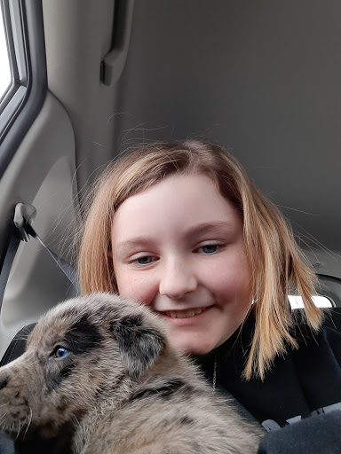 Pet Supply Store «PetSmart», reviews and photos, 3450 N Morrison Rd, Muncie, IN 47304, USA