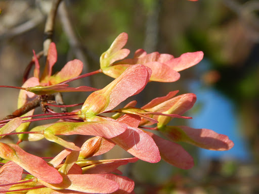 Wildlife Park «Charlie Elliott Wildlife Center», reviews and photos, 543 Elliott Trail, Mansfield, GA 30055, USA
