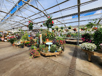 River Street Flowerland - Photo 2 - Car repair in Kalamazoo, MI, Kalamazoo