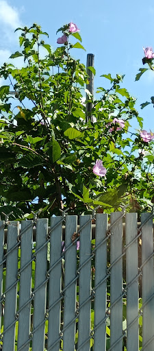 Hoffman Animal Hospital