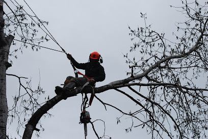 Top Branch Tree Service