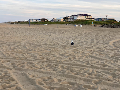 Grocery Store «Sandbridge Seaside Market», reviews and photos, 209 Sandbridge Rd, Virginia Beach, VA 23456, USA