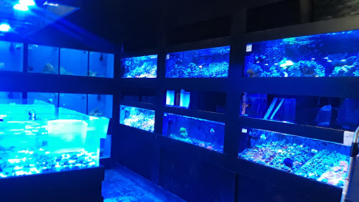 Pet Store «Specialty Pets», reviews and photos, 3 Bank St, Nitro, WV 25143, USA