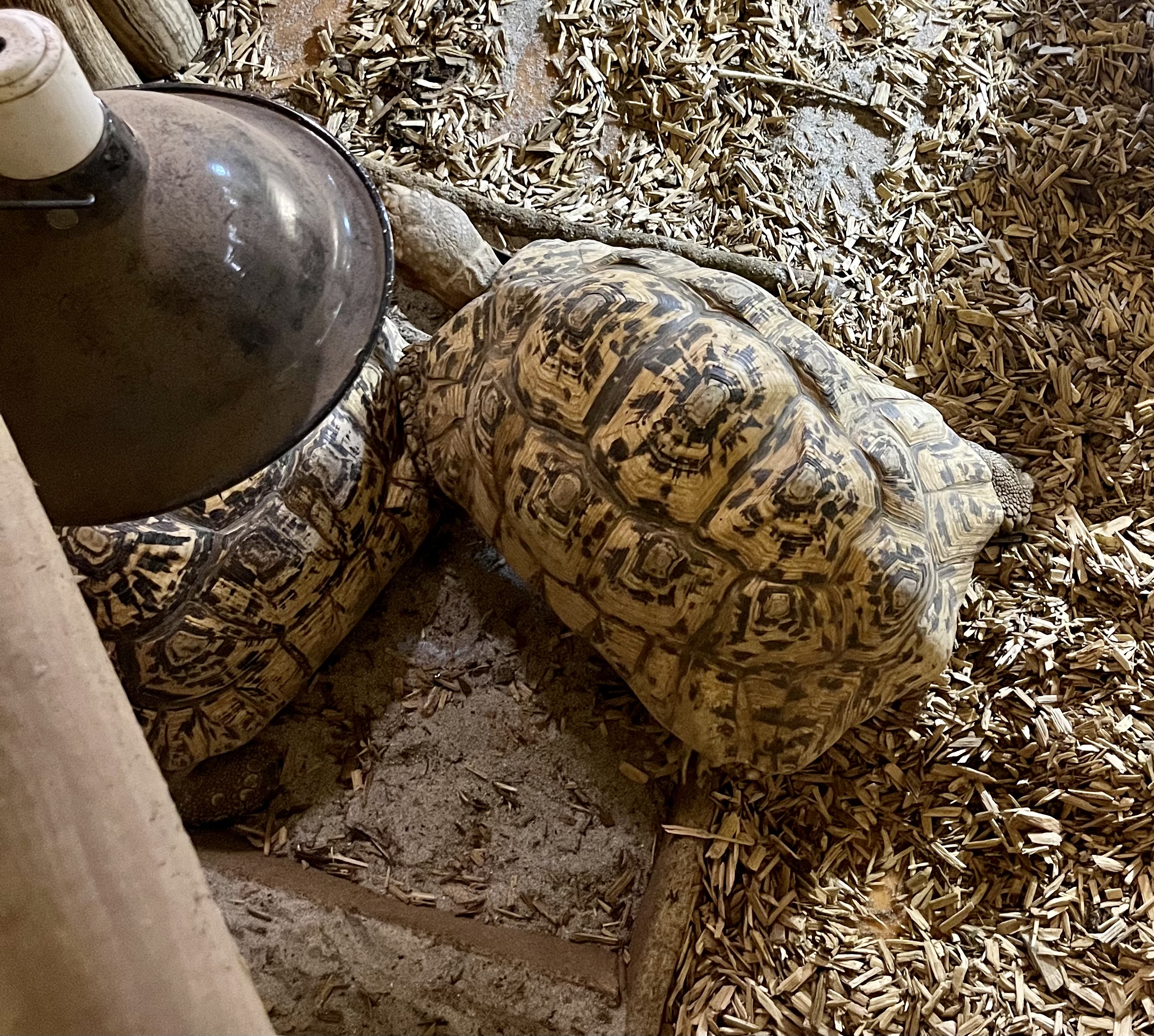 Photo n° 6 de l'avis de Elisa.i fait le 04/11/2023 à 18:33