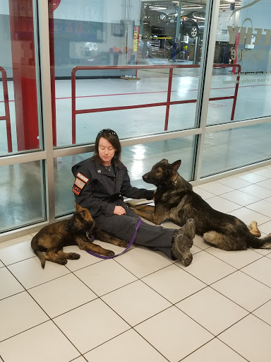 Nissan Dealer «Sheehy Nissan of Manassas», reviews and photos, 9010 Liberia Ave, Manassas, VA 20110, USA