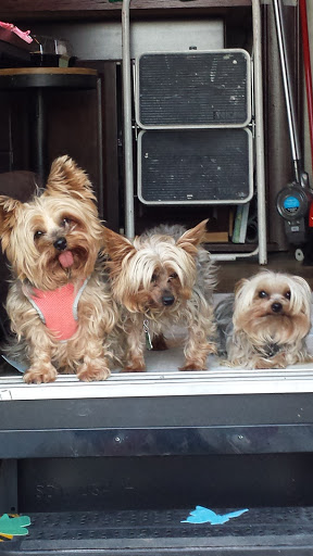 RV Repair Shop «Premier Auto and RV, Inc.», reviews and photos, 11145 US-24, Falcon, CO 80831, USA