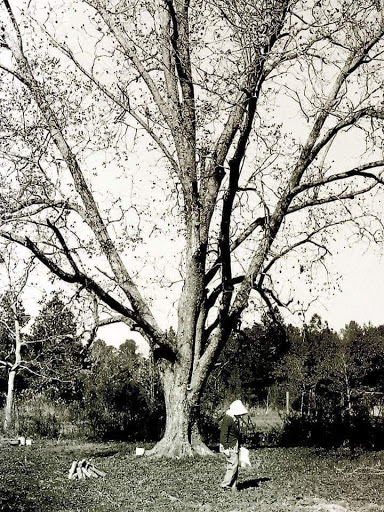Beauty Salon «Bangz Hair Salon», reviews and photos, 1203 S 43rd St, Wilmington, NC 28403, USA