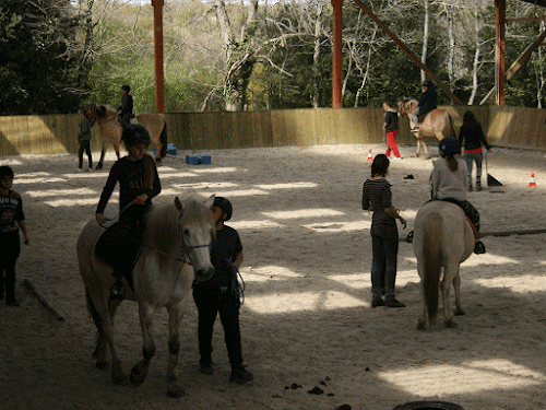 Centre équestre Les Crinières De L'ouest Lanvénégen