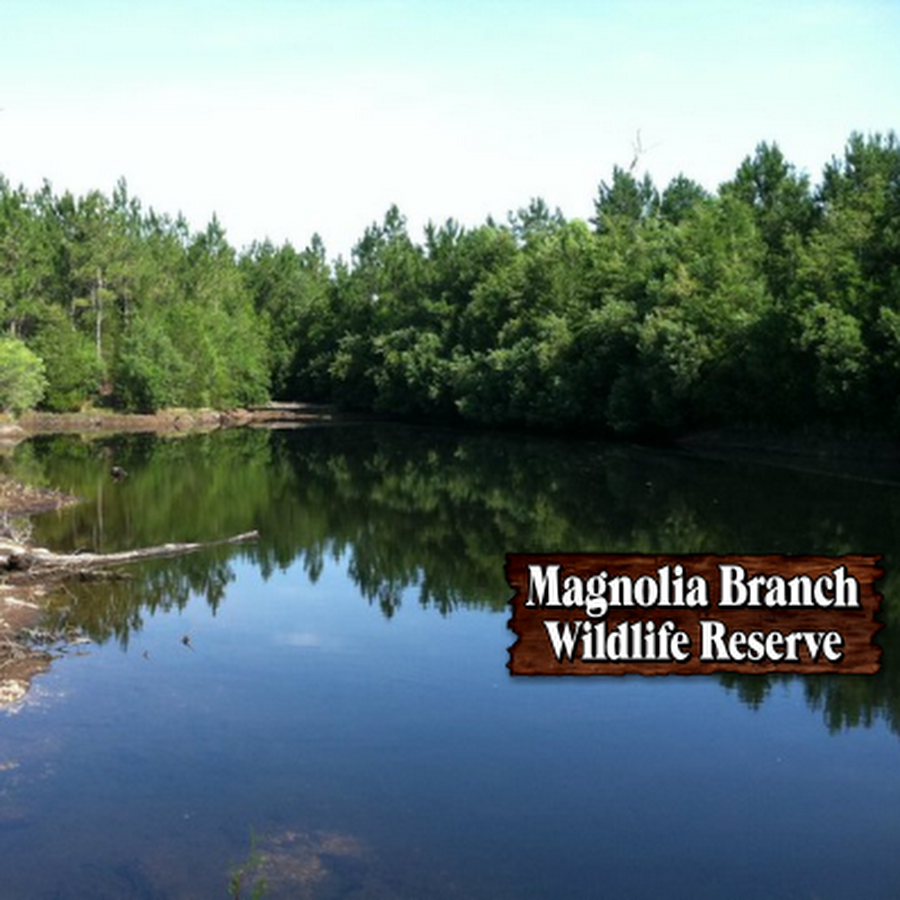 Magnolia Branch Wildlife Reserve