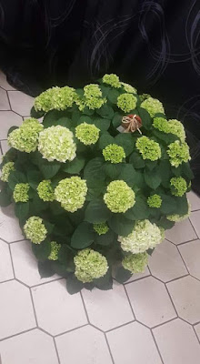 Le Jardin de Laurie à Domérat