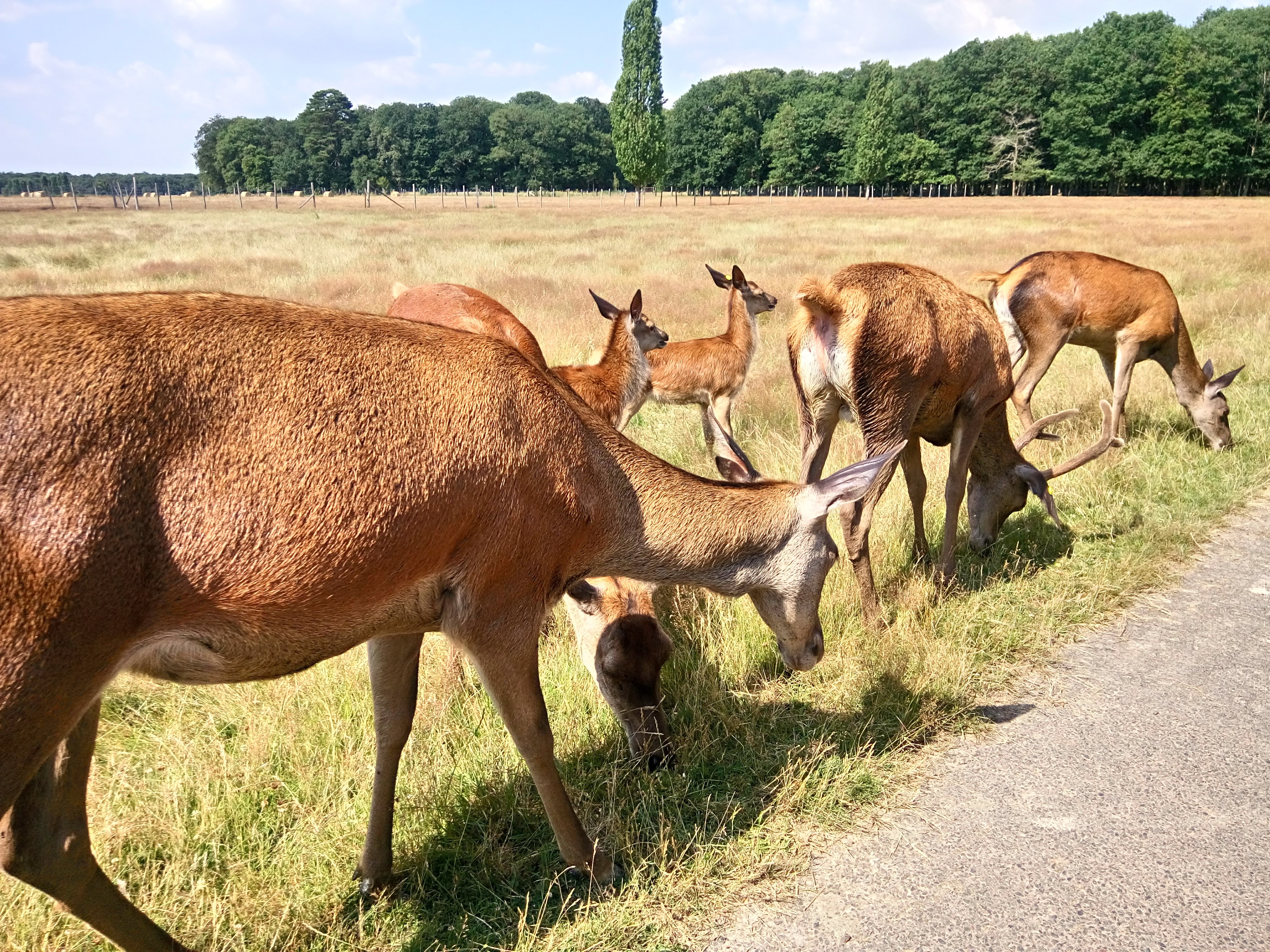 Photo n° 8 de l'avis de Mohsene._ fait le 08/07/2018 à 15:51