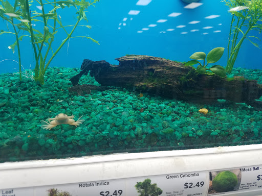 Pet Supply Store «Pet Supermarket», reviews and photos, 835 Blanding Blvd, Orange Park, FL 32065, USA