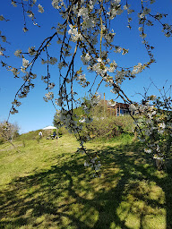 Photo n°2 de Lab71 à Dompierre-les-Ormes ()