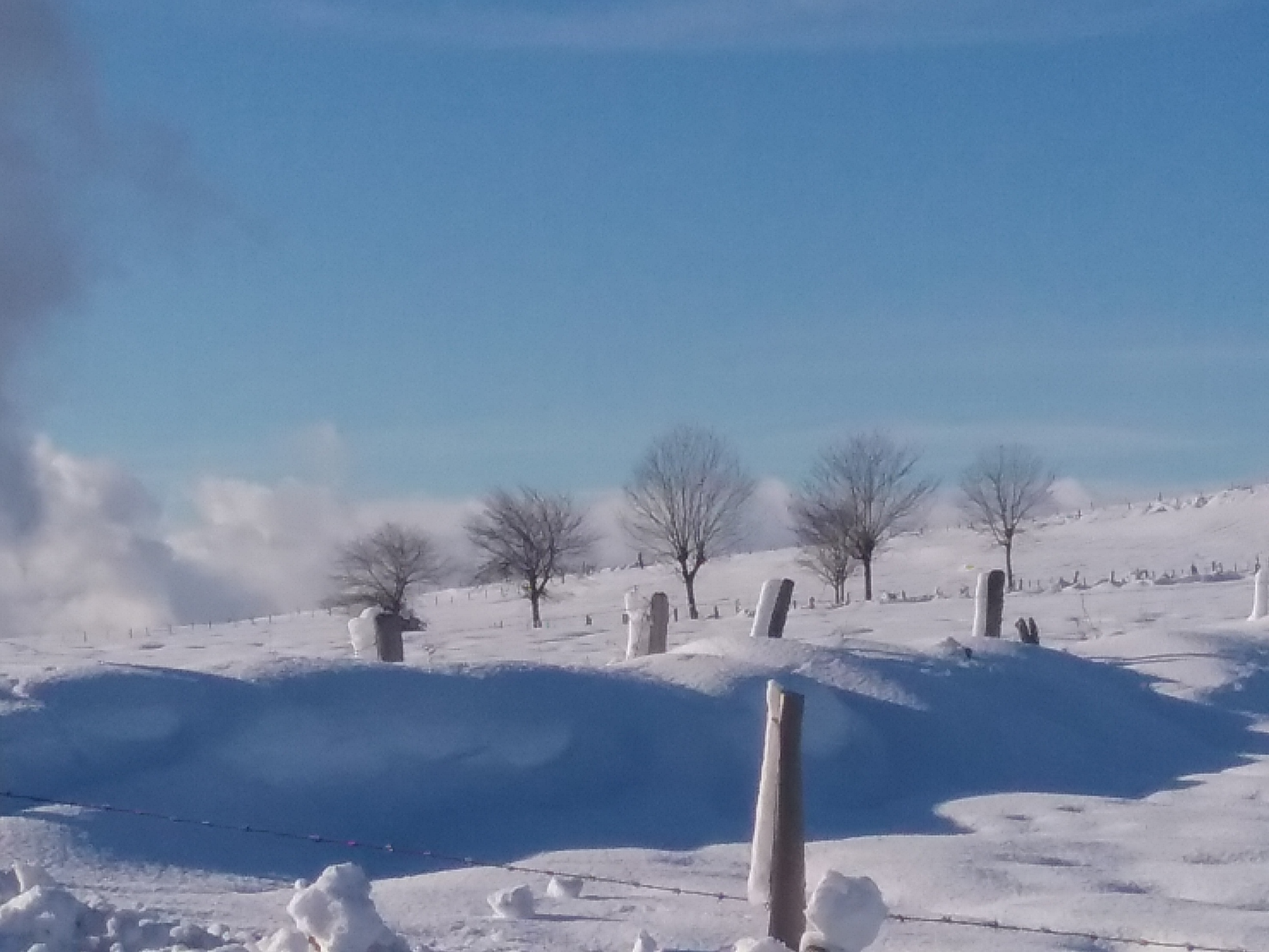 Photo n° 4 de l'avis de Gerard.a fait le 27/01/2021 à 19:29