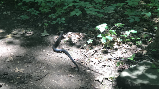 Historical Place «Fort Lee Historic Park», reviews and photos, Hudson Terrace, Fort Lee, NJ 07024, USA