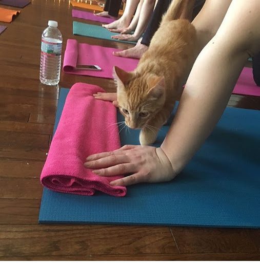 Yoga Studio «Samudra Studio Yoga», reviews and photos, 200 Main St, Saco, ME 04072, USA