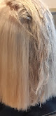 Salon de coiffure MC COIFFURE 30820 Caveirac